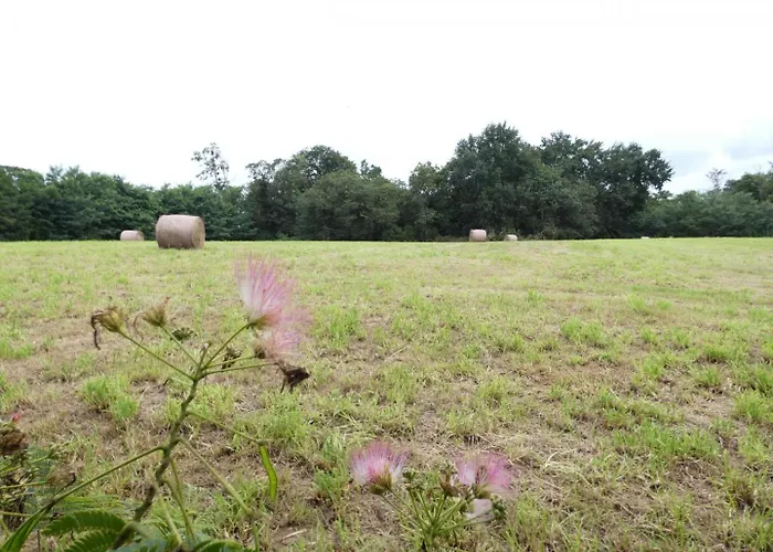 Petit Rimbez Poyanne